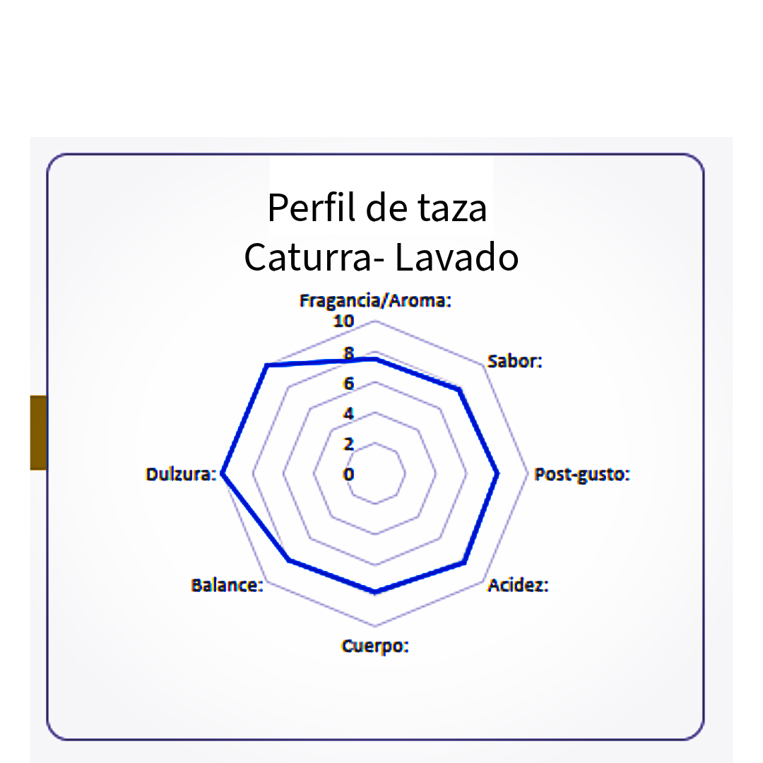 Microlote café de especialidad Guatemala variedad caturra 350 gramos