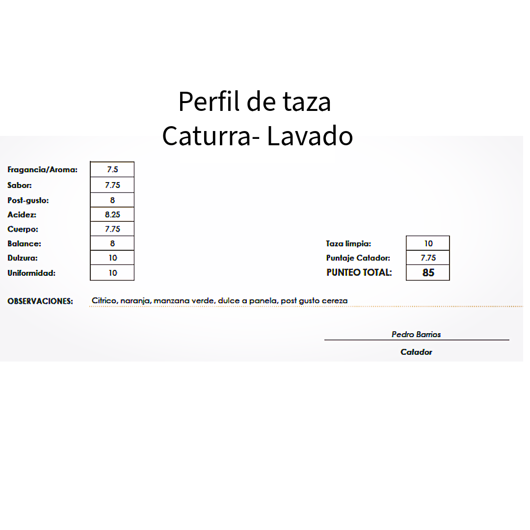 Microlote café de especialidad Guatemala variedad caturra 350 gramos
