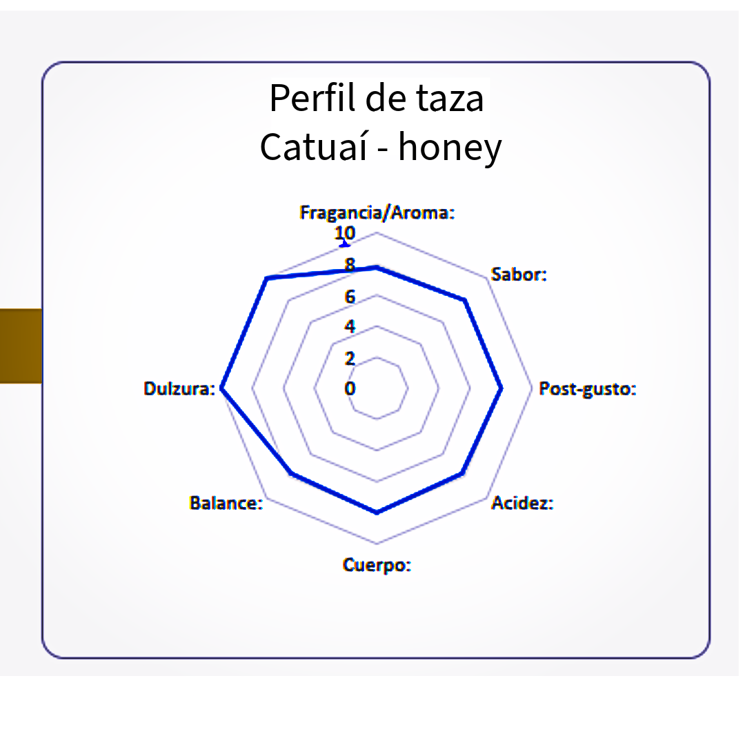 Microlote café de especialidad Guatemala variedad catuai honey 350 gramos