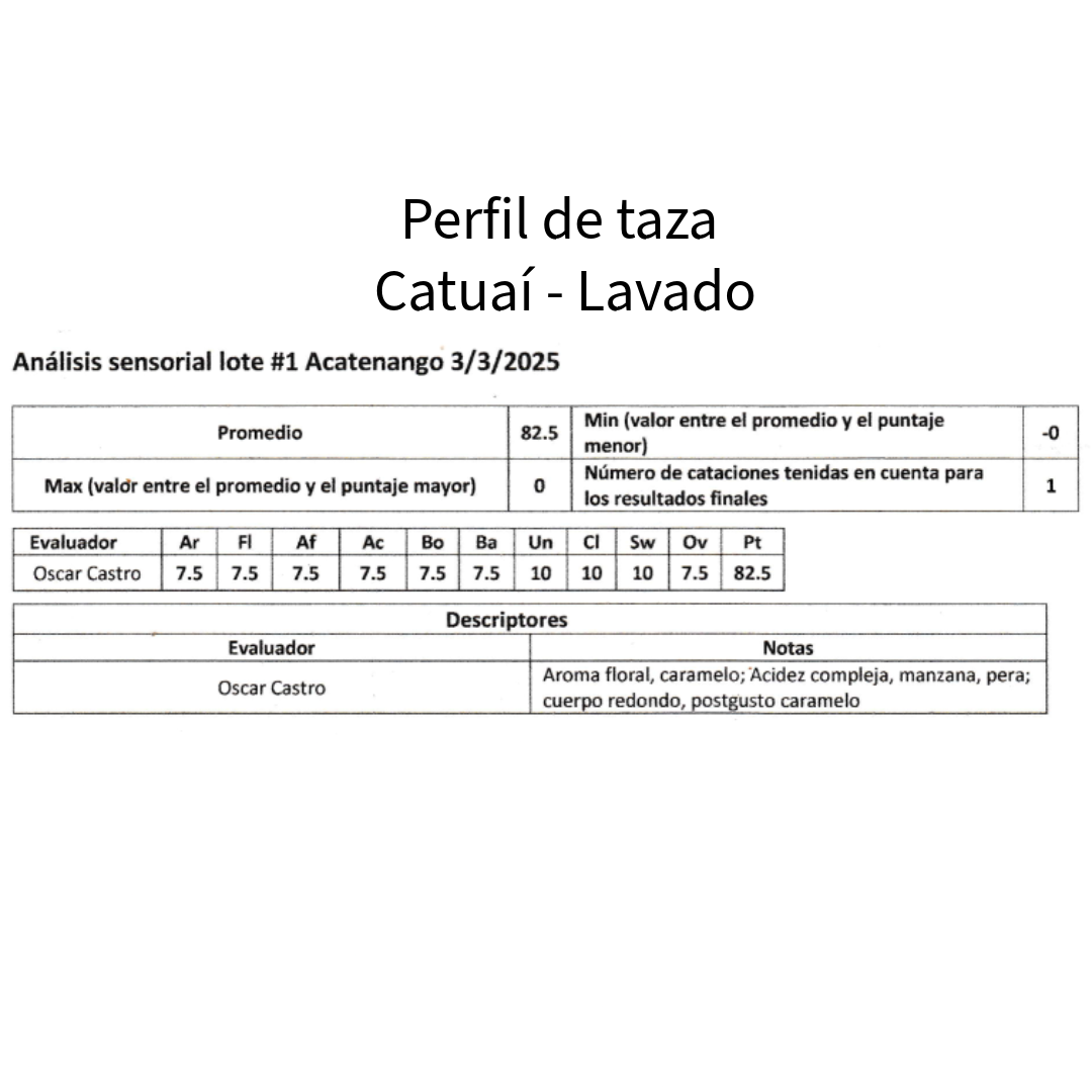 Microlote café de especialidad Guatemala variedad catuai 350 gramos