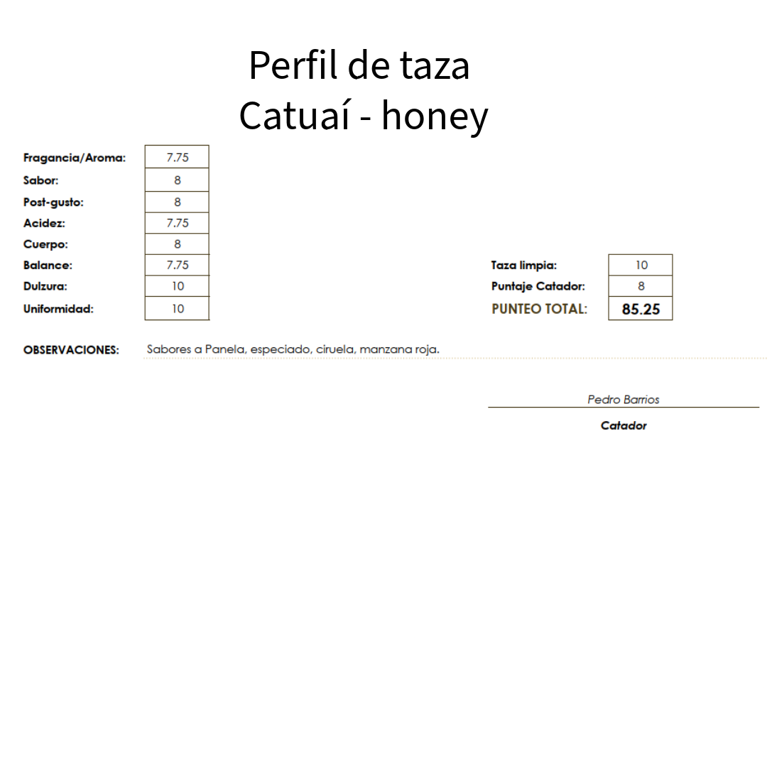 Microlote café de especialidad Guatemala variedad catuai honey 350 gramos