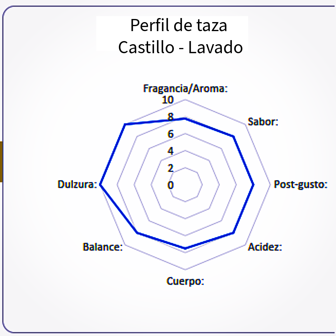 Microlote café de especialidad Guatemala variedad castillo 350 gramos