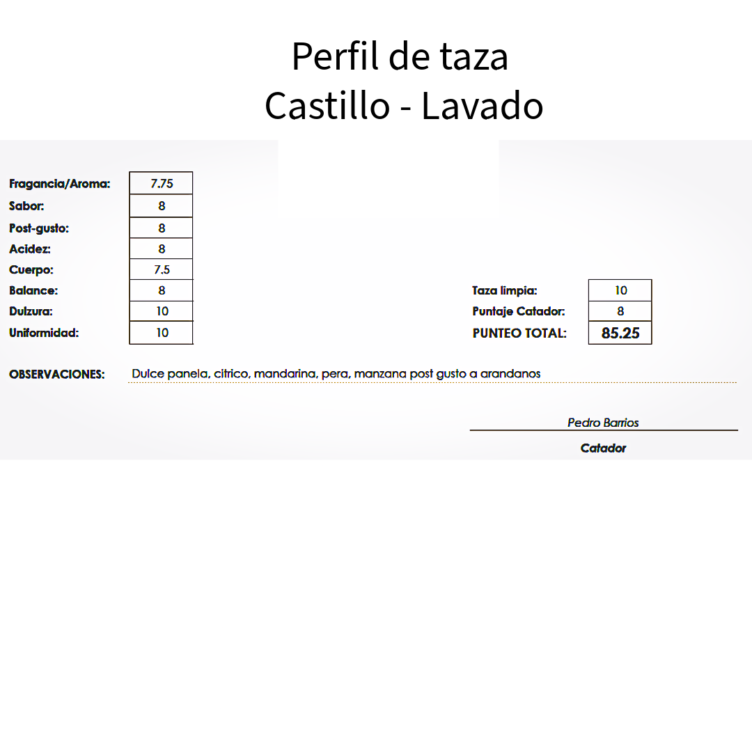 Microlote café de especialidad Guatemala variedad castillo 350 gramos