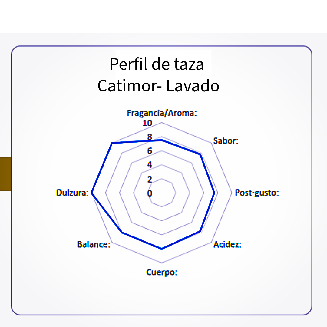 Microlote café de especialidad Guatemala variedad catimor 350 gramos