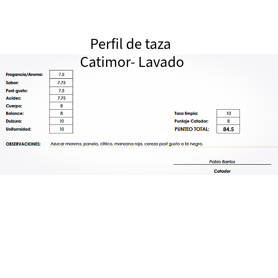 Microlote café de especialidad Guatemala variedad catimor 350 gramos