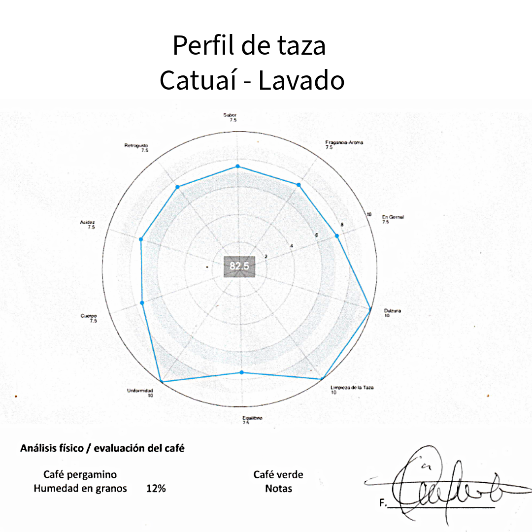 Microlote café de especialidad Guatemala variedad catuai 350 gramos